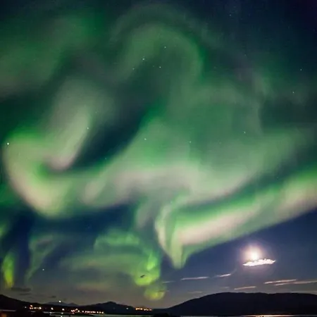 롯지 Norwegian Wild