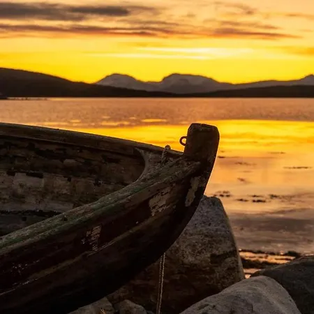 Norwegian Wild *