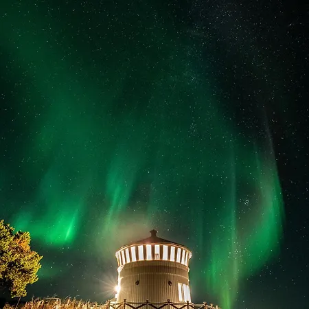 Norwegian Wild * Brygghaugen