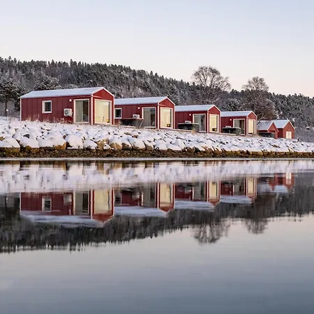 Norwegian Wild * Brygghaugen