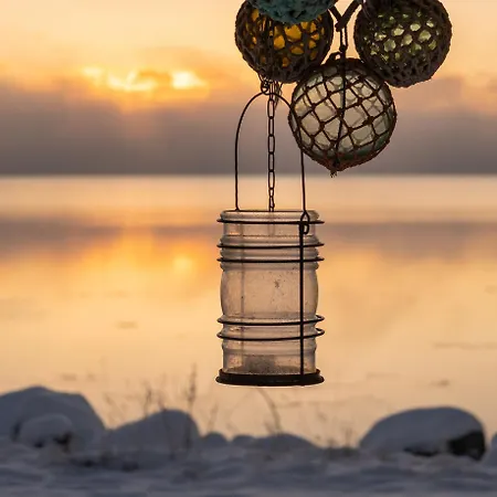 Norwegian Wild *