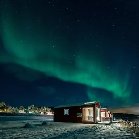 Norwegian Wild Brygghaugen