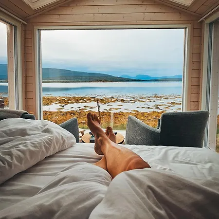 Norwegian Wild