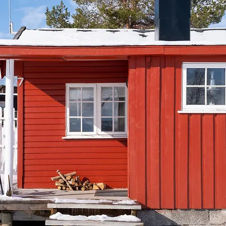 Norwegian Wild Brygghaugen