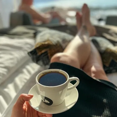 Norwegian Wild Brygghaugen