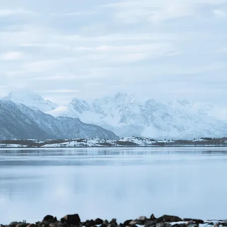 Norwegian Wild * Brygghaugen