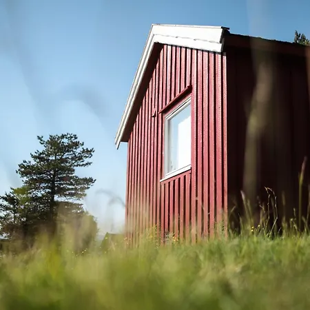 Norwegian Wild Brygghaugen