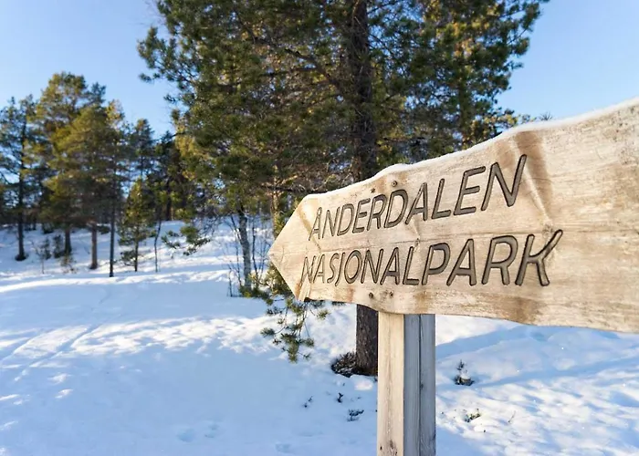 Lodge Norwegian Wild *