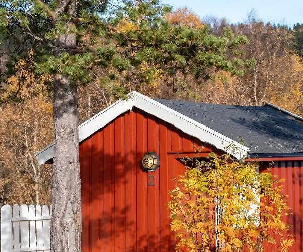 Lodge Norwegian Wild