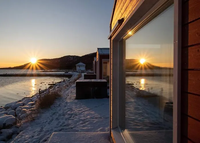 Lodge Norwegian Wild