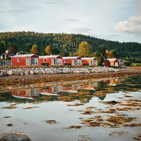 Lodge Norwegian Wild *