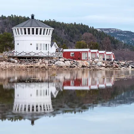 Norwegian Wild